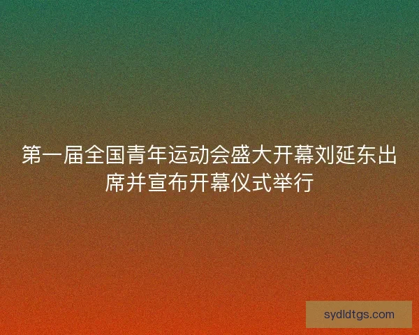 第一届全国青年运动会盛大开幕刘延东出席并宣布开幕仪式举行