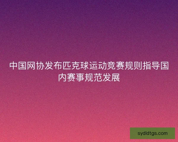 中国网协发布匹克球运动竞赛规则指导国内赛事规范发展