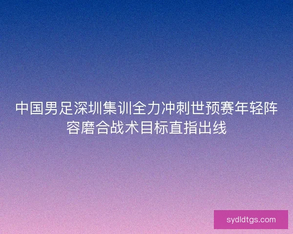 中国男足深圳集训全力冲刺世预赛年轻阵容磨合战术目标直指出线